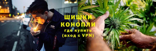 ешки Верхний Тагил