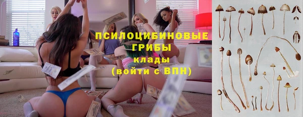 метамфетамин Верея