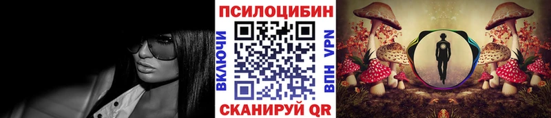 Псилоцибиновые грибы GOLDEN TEACHER  Большой Камень 